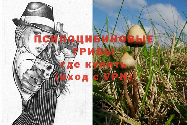 метадон Абаза