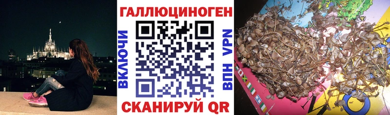 ссылка на мегу   магазин продажи   Уржум  Галлюциногенные грибы мухоморы 